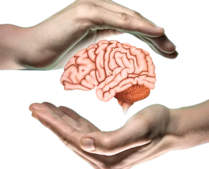 Neurosciences 1