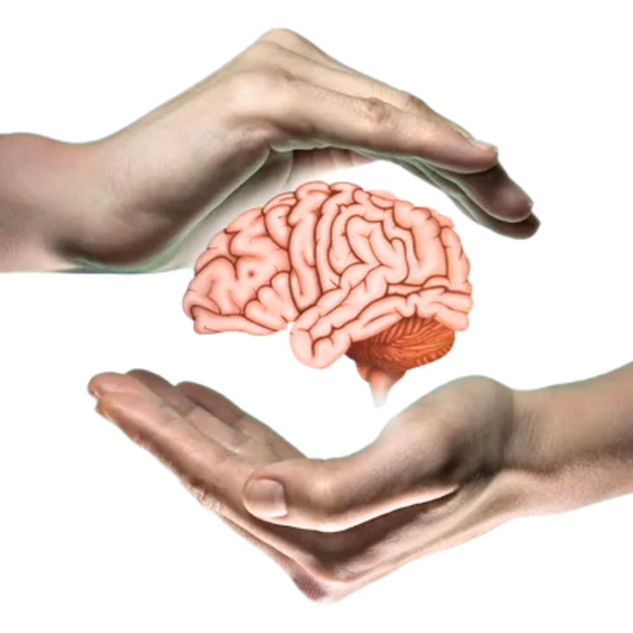 Neurosciences 1